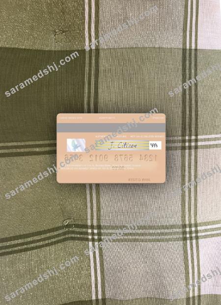 Syria Al Baraka Bank visa debit card photolook back